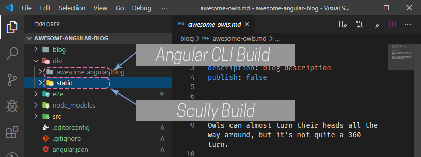 Scully generated a static folder