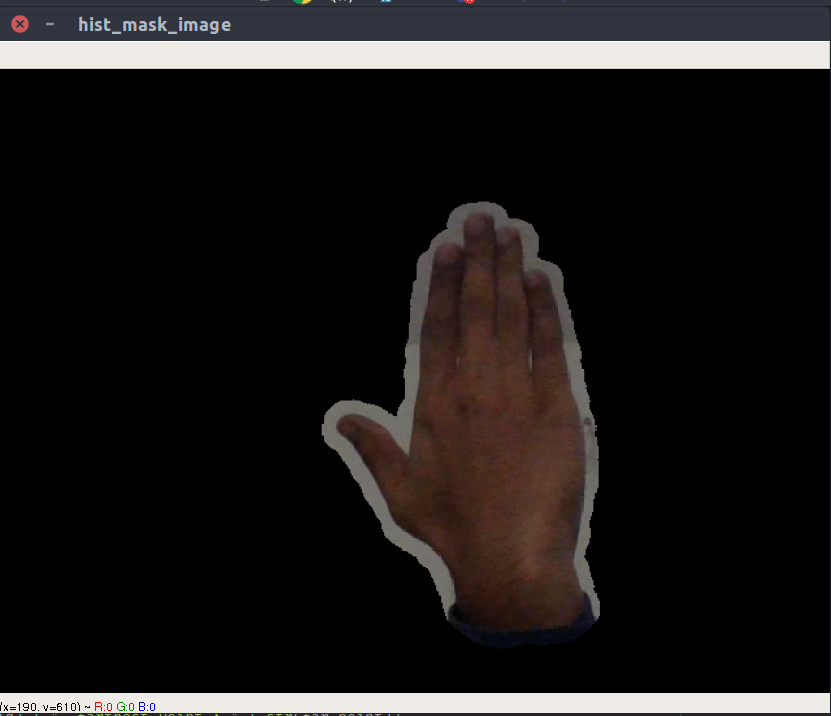 Hand seperated from background (2)