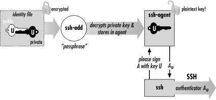 Figure showing how SSH agent work